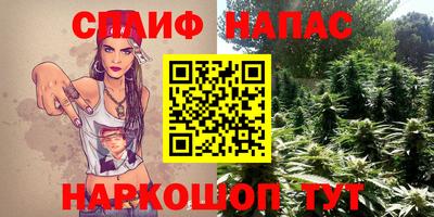 МДПВ Ливны