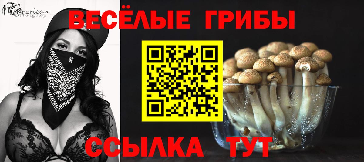 Тверь  Псилоцибиновые грибы Psilocybine cubensis  Вход с VPN  Галлюциногенные грибы мухоморы 
